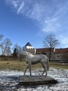 Ciekawostki o Pardubicach