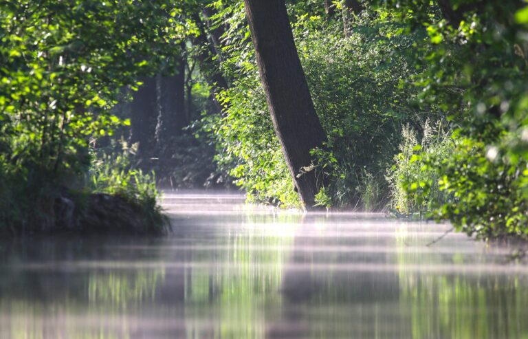 Spreewald atrakcje