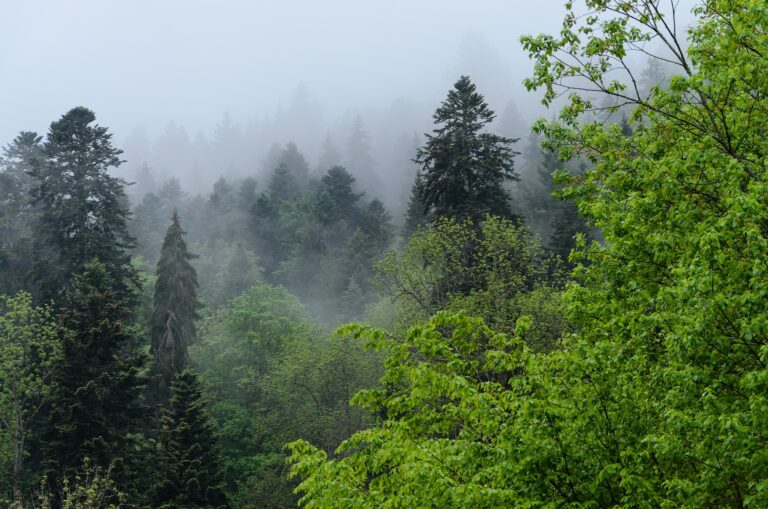 Triberg im Schwarzwald atrakcje turystyczne
